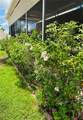 1115 Deer Creek Boulevard - Photo 30