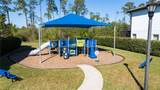 10427 Royal Cypress Way - Photo 9