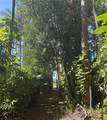 14202 Nell Drive - Photo 18
