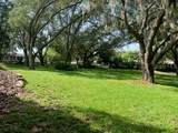 116 Magnolia Avenue - Photo 6