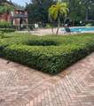 107 Vista Verdi Circle - Photo 13