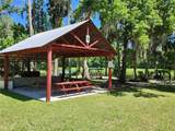 32124 Holopaw Trail - Photo 12