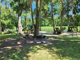 32124 Holopaw Trail - Photo 9