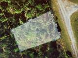 Bignay Road - Photo 1