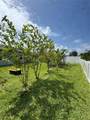2741 Neverland Drive - Photo 44