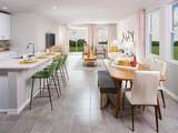 623 Pennywort Street - Photo 3