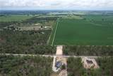  Smallwood Drive - Photo 6
