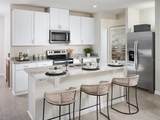 7518 Mia Vine Drive - Photo 3