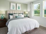 7510 Mia Vine Drive - Photo 6
