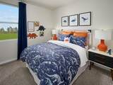 7529 Mia Vine Drive - Photo 7