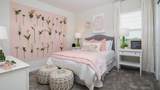 2477 Peace Of Mind Avenue - Photo 9