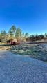 3504 Seahorse Lane - Photo 4