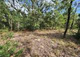 3504 Seahorse Lane - Photo 7