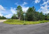 3504 Seahorse Lane - Photo 8