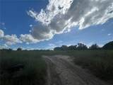  Kelly Park Road - Photo 2