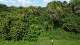 4099 Dotham Street - Photo 2