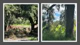 1122 Darity Street - Photo 1