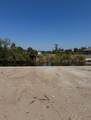 13156 Amaryllis Circle - Photo 5