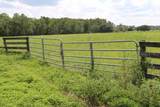  Green Swamp Road - Photo 15