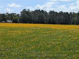  Green Swamp Road - Photo 2