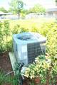 443 Biscayne Ave - Photo 47