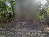 491 Nemo Drive - Photo 2