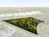 1785 Doyle Road - Photo 8
