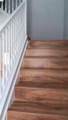 4316 Messina Drive - Photo 16
