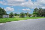 34534 Tree Frog Lane - Photo 4