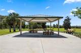 2810 Harmonia Hammock Road - Photo 37