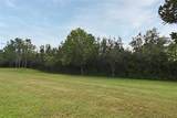 1524 Downy Birch Lane - Photo 32