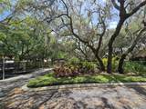 3542 Shallot Drive - Photo 58