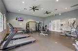 3031 Palermo Rose Way - Photo 51
