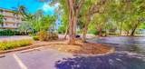 500 Burton Drive - Photo 14