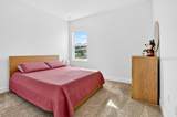 2201 Juniper Berry Drive - Photo 9