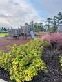 13809 Luna Harvest Ave. - Photo 77