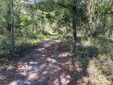 34095 Hyatt Rd - Photo 41