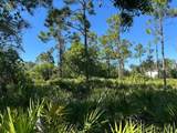 27028 Chamois Drive - Photo 4