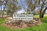 2436 Deer Trail Lane - Photo 46