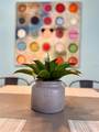 8974 Candy Palm Road - Photo 63