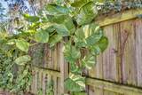 427 Sunglow Court - Photo 31