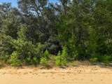 211 Selma Avenue - Photo 6
