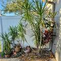 2568 Aventurine Street - Photo 36