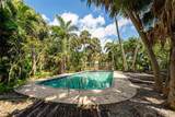 13377 Indian River Dr - Photo 28