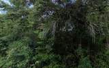 3288/3302 Alisa Lane - Photo 1