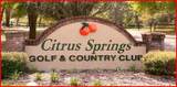 168 Citrus Springs Boulevard - Photo 36