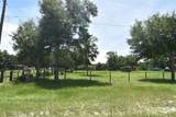 3100 Poverty Lane - Photo 3