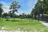 3100 Poverty Lane - Photo 8