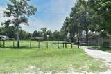 3100 Poverty Lane - Photo 9