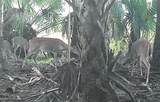  No Name - Photo 22